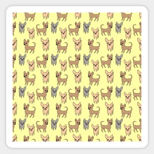 Chihuahua chihuahuas - yellow Sticker